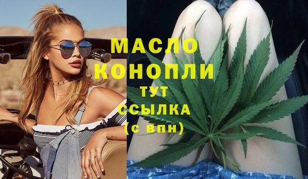 тгк Новозыбков