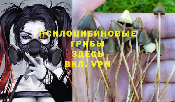 марки nbome Няндома