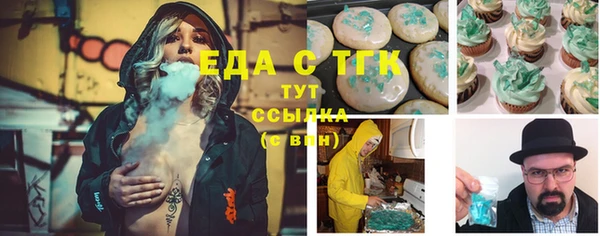 тгк Новозыбков