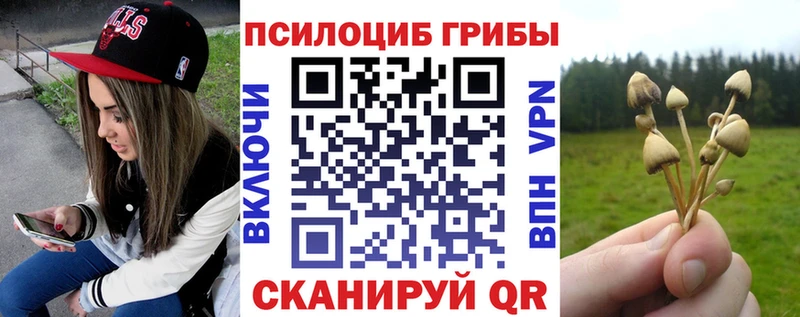 где купить наркоту  гидра сайт  Псилоцибиновые грибы мицелий  Кукмор 